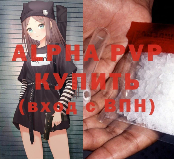 ECSTASY Богданович