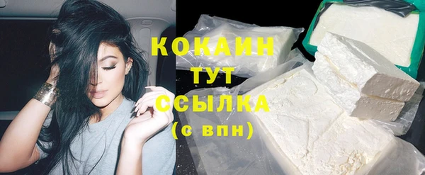 крисы Богородицк
