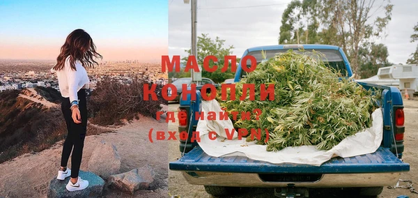 крисы Богородицк