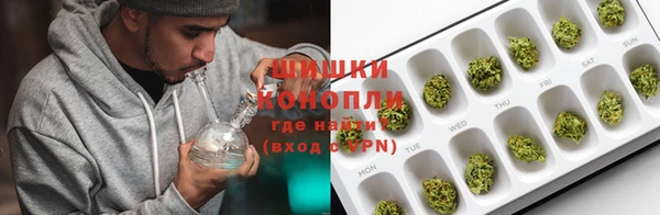 МДПВ Богородск
