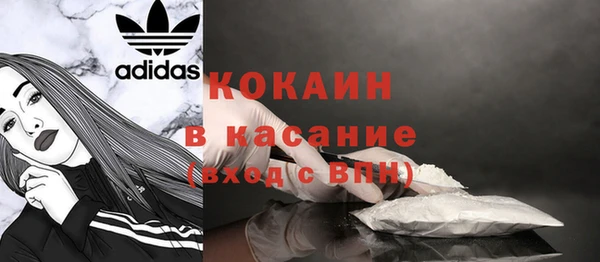 крисы Богородицк