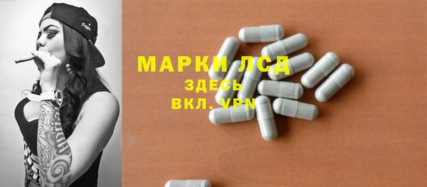 ECSTASY Богданович