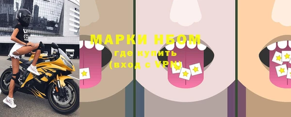 МДПВ Богородск