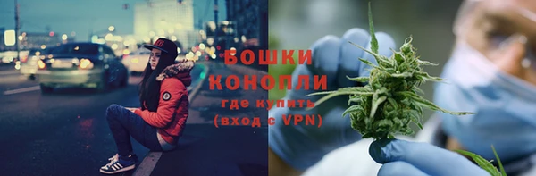 МДПВ Богородск