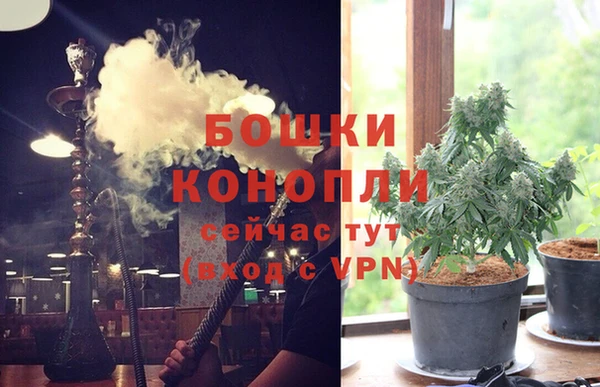 крисы Богородицк