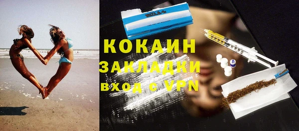 крисы Богородицк