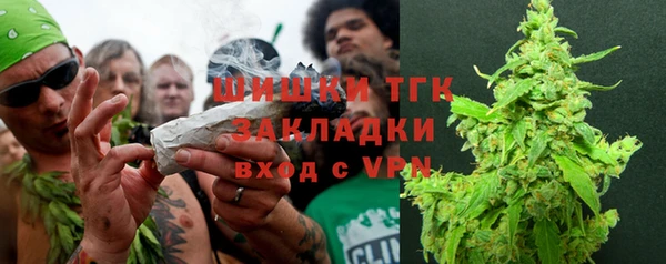 крисы Богородицк