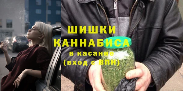 ECSTASY Богданович