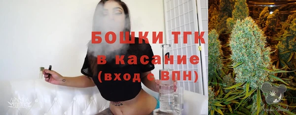 крисы Богородицк