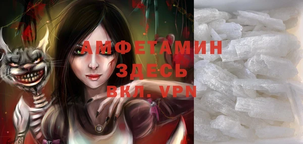 ECSTASY Богданович