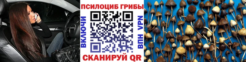 Псилоцибиновые грибы мицелий  Белгород 
